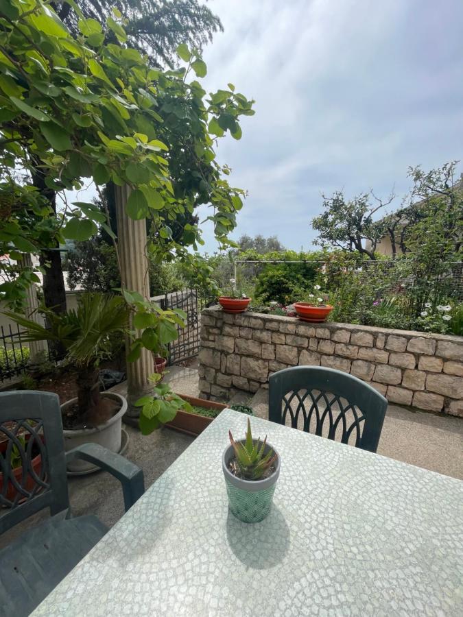 Mandarina Garden