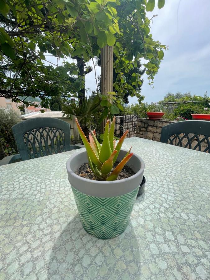 Mandarina Garden Petrovac